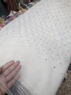 Pure Soft Net Dupatta with Silver Chan Embroidery – Elegant Party Wear Dupatta, 2.5 Yards